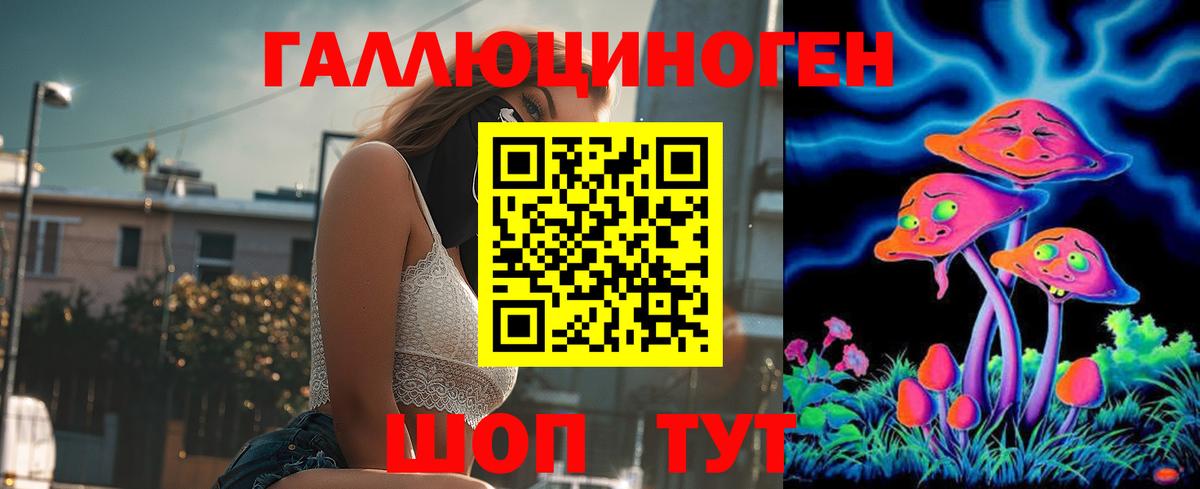 Галлюциногенные грибы Psilocybine cubensis  Вход с VPN  Архангельск 