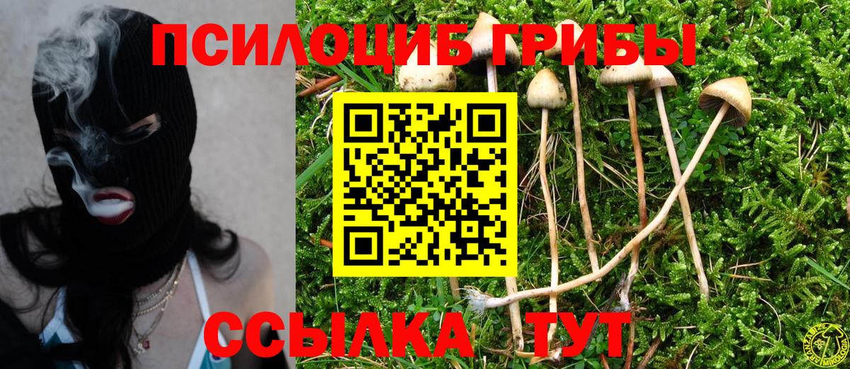 Галлюциногенные грибы мухоморы Архангельск